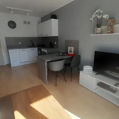 4 Seasons- Basen Wewnetrzny,jacuzzi,sauna,silownia, Kulkoland I Parking Gratis *