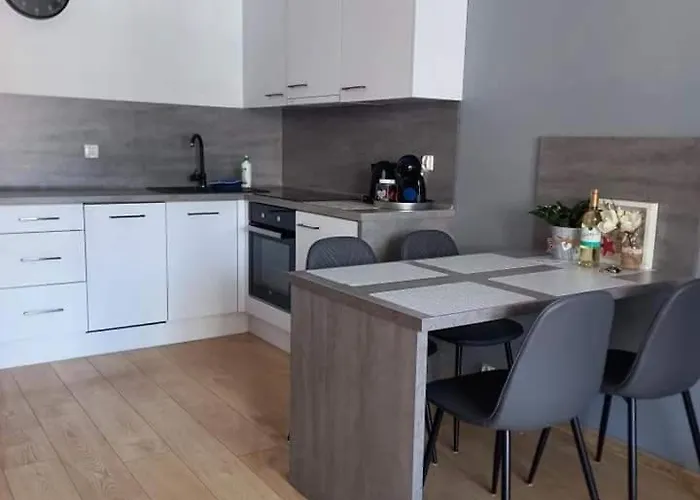 Apartament 4 Seasons- Basen Wewnetrzny,jacuzzi,sauna,silownia I Kulkoland W Cenie!!!